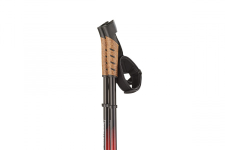 Палки для скандинавской ходьбы | STC031