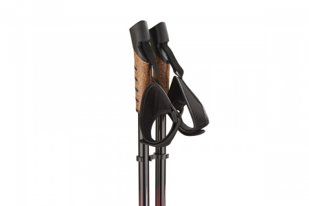 Палки для скандинавской ходьбы | STC031